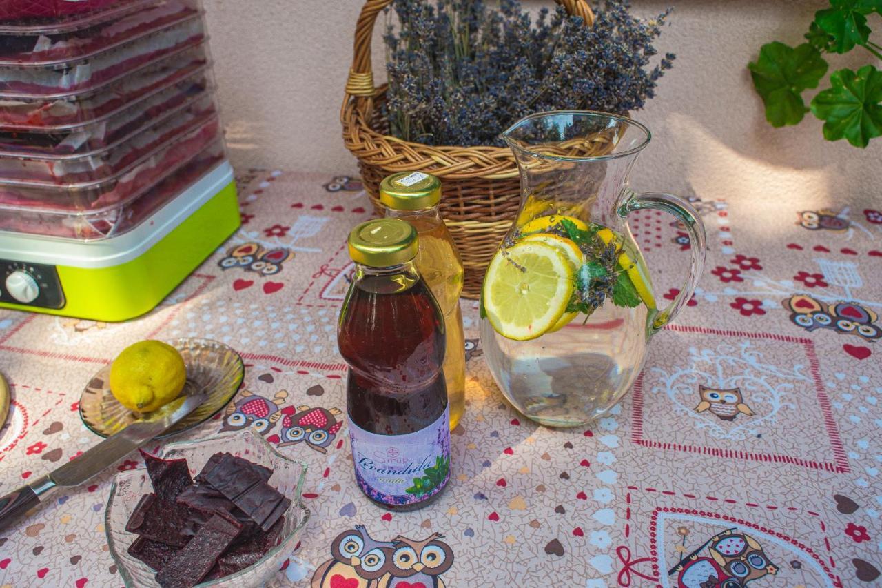 Bungalovy Natura Trávnica Екстериор снимка